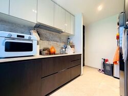 Liv @ Mb (D15), Condominium #637809461